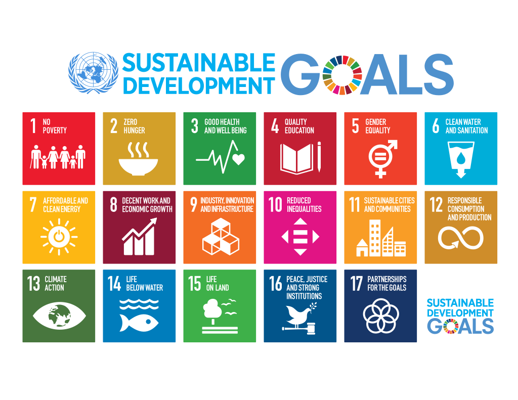 a graphic showing all of the 17 sustainable development goals