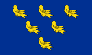 Flag of sussex alluding to hard water in sussex