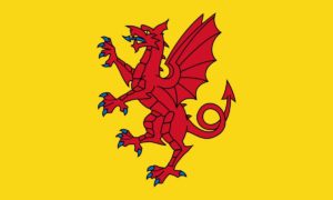 Image of the Somerset Flag alluding to hard water