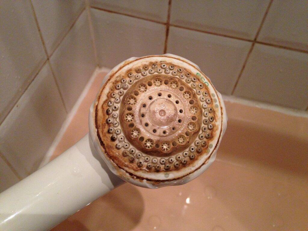 Limescale and Bacteria A match made in the Bathroom