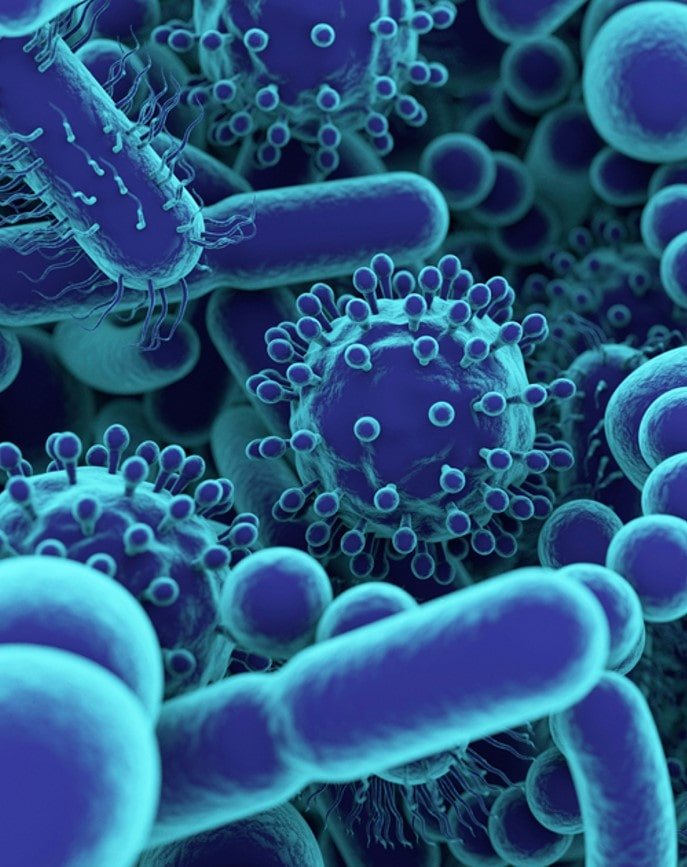 Image of bacteria found on surfaces with limescale