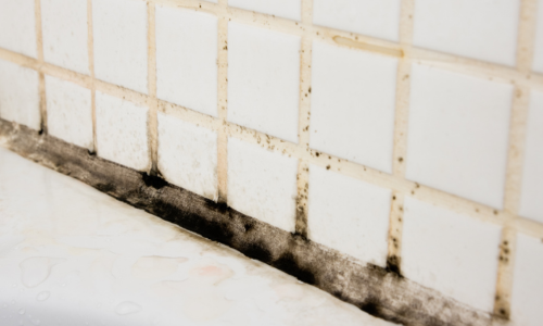 how to clean dirty grout