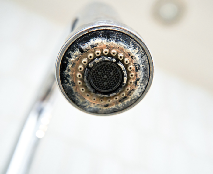 a shower head covered in limescale