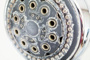 shower head blocked by limescale