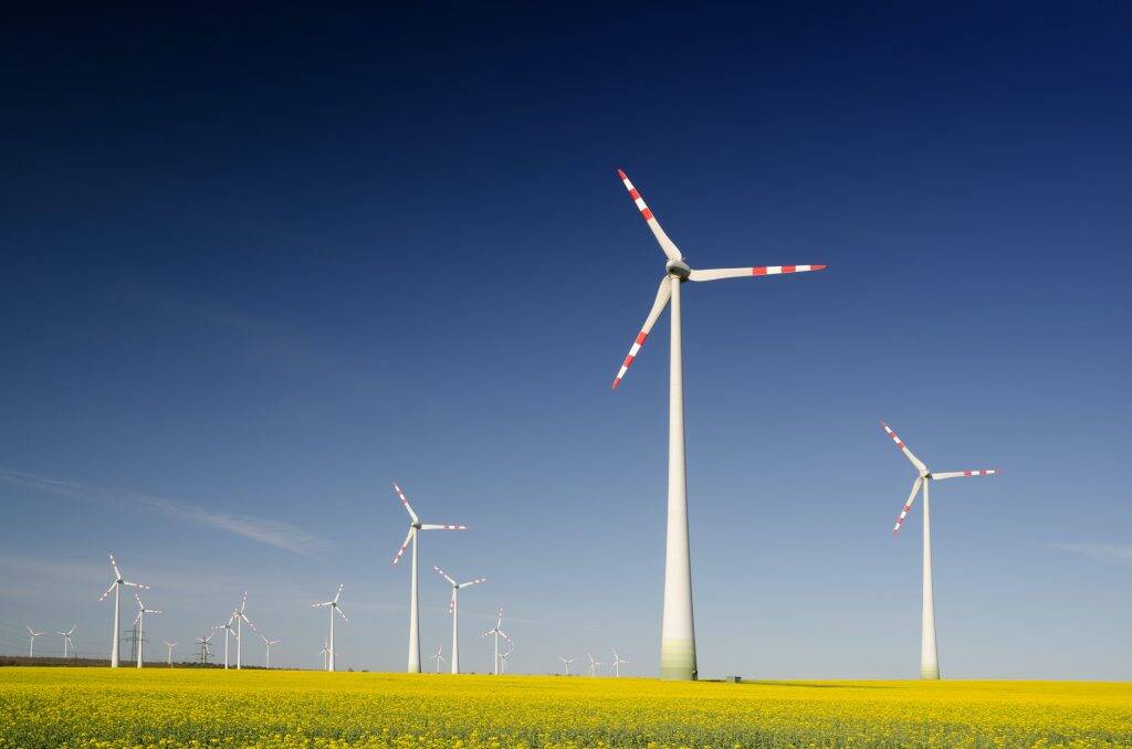 a yellow field dotted with wind turbines one method for the UK to reach net zero carbon